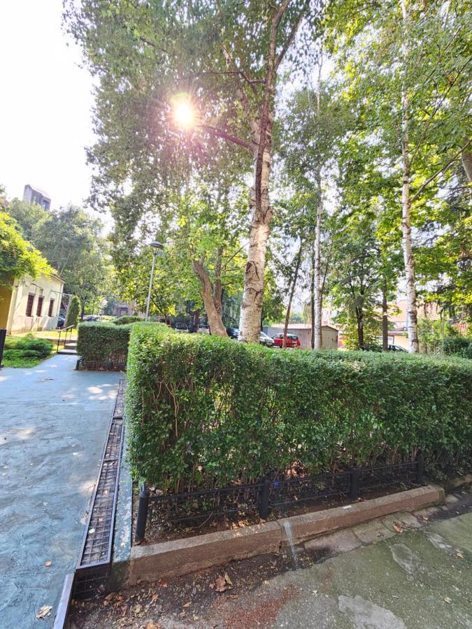 בלגרד Booking Apartments Alone 1 מראה חיצוני תמונה
